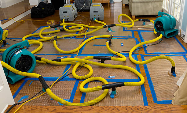 Professional Sewage Cleanup technician working in Modoc, IL